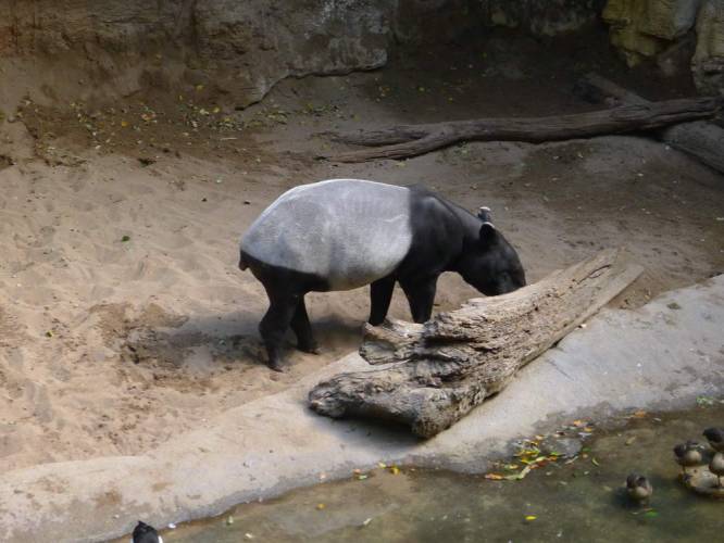USA_2011-11-21 12-35-38